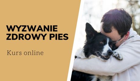 Wyzwanie zdrowy pies