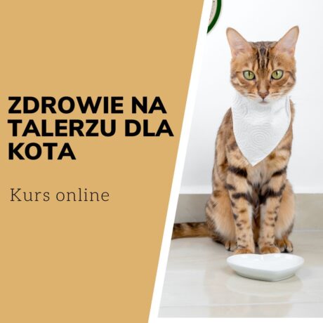 Mini kurs zdrowie na talerzu dla kota