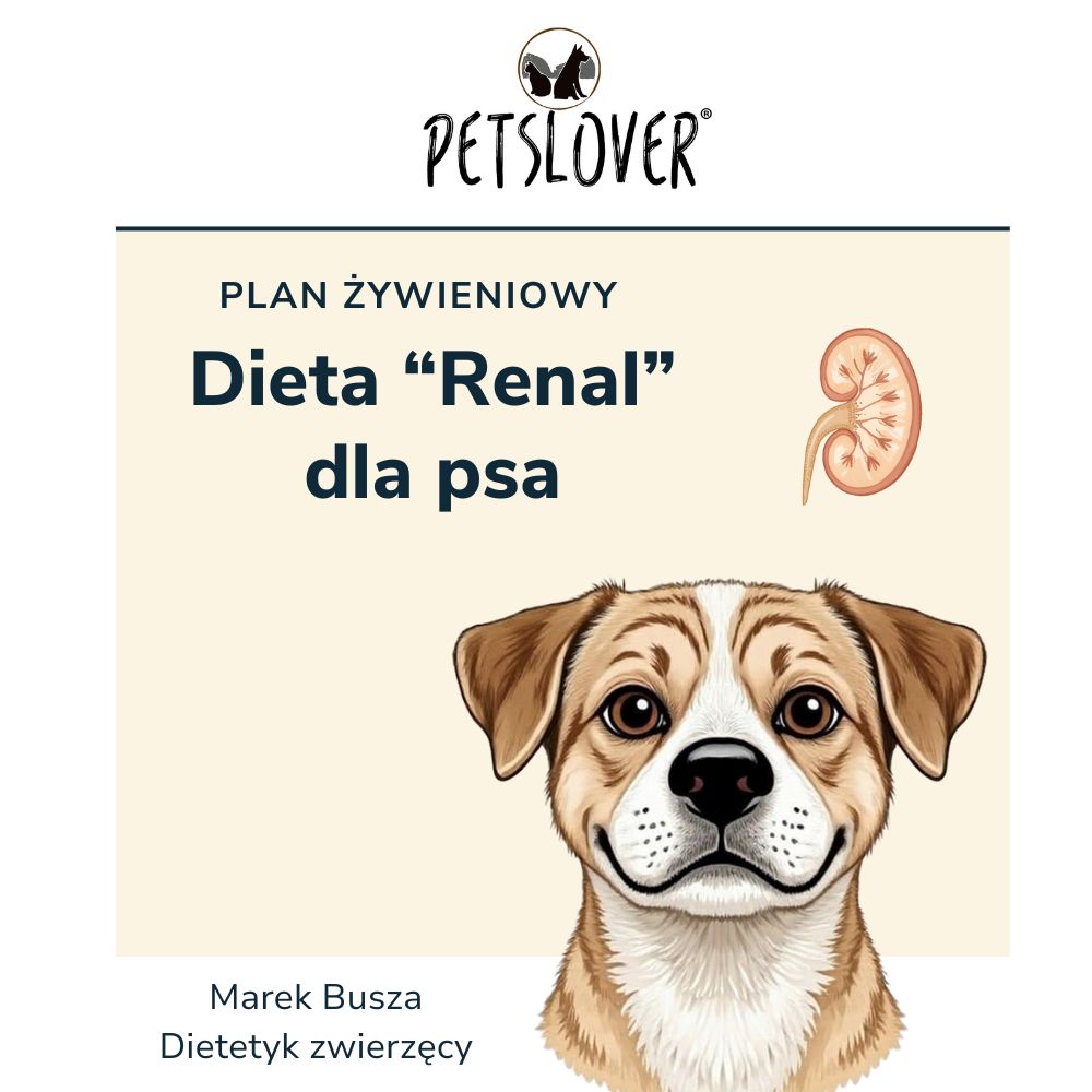 Dieta renal dla psa