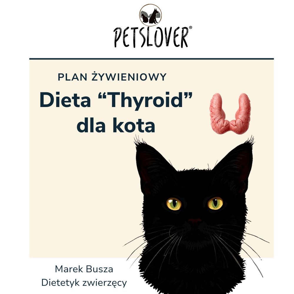 Plan żywieniowy Dieta "Thyroid" dla kota E-book